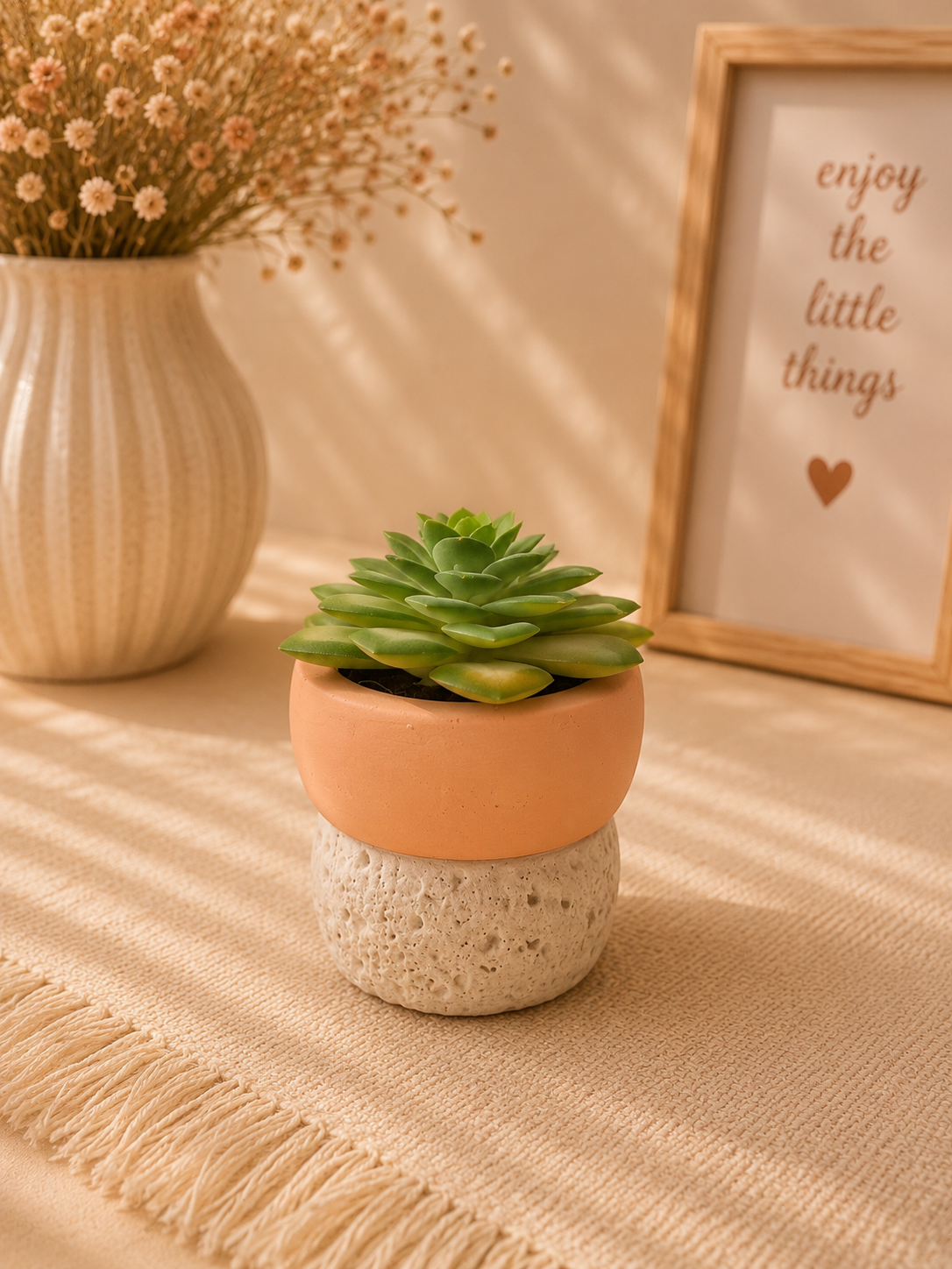 Mini Succulent Plant