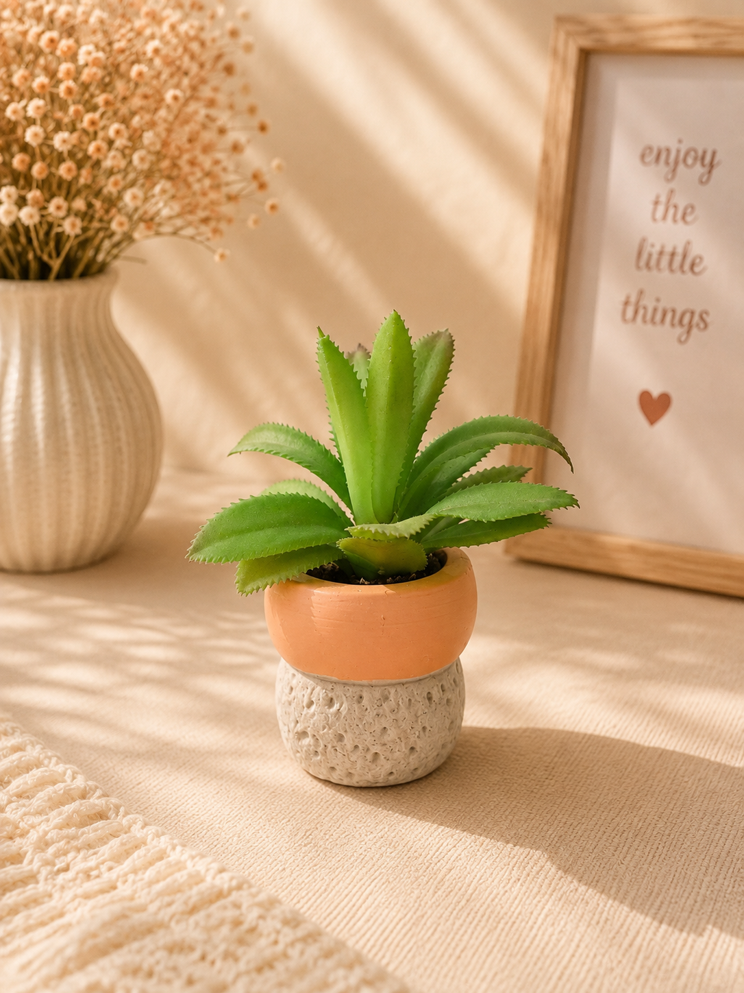 Mini Succulent Plant