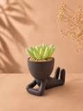 Human Shaped Succulent Plant